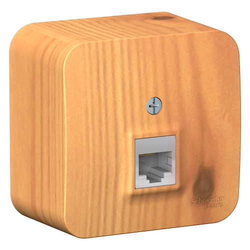 Розетка о/у Бланка RJ45 1м ясень в сборе кат.5E (комп.) изол. пл. (упак-12шт) SchE                                        