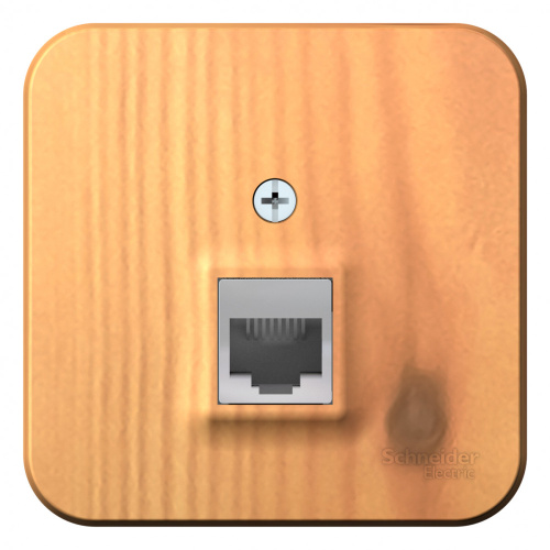 Розетка о/у Бланка RJ45 1м ясень в сборе кат.5E (комп.) изол. пл. (упак-12шт) SchE                                         фото 2                    